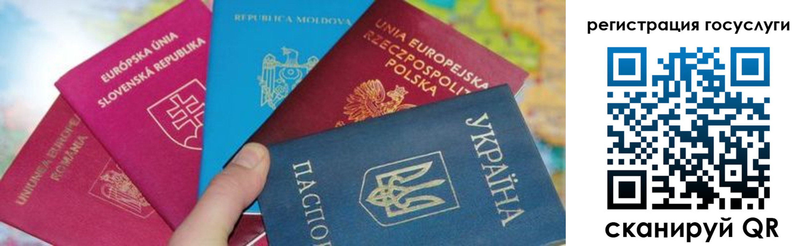 прописка гарантия в Алексине